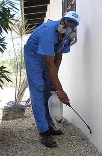 Pest control technician spraying outdoors